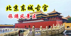 插我操我啊啊视频中国北京-东城古宫旅游风景区